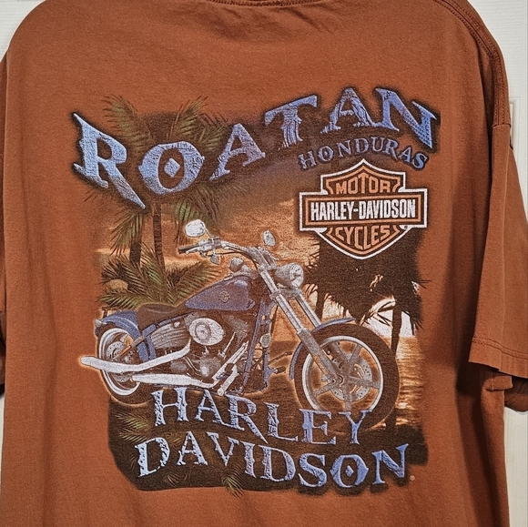 Harley Davidson Rust Grapic T-Shirt Plus Size - Picture 5 of 6